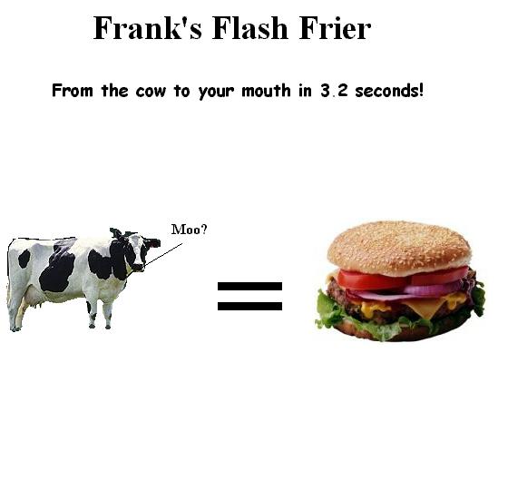 franksflashfrier.jpg